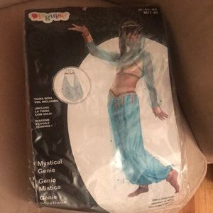 Mystical Genie costume